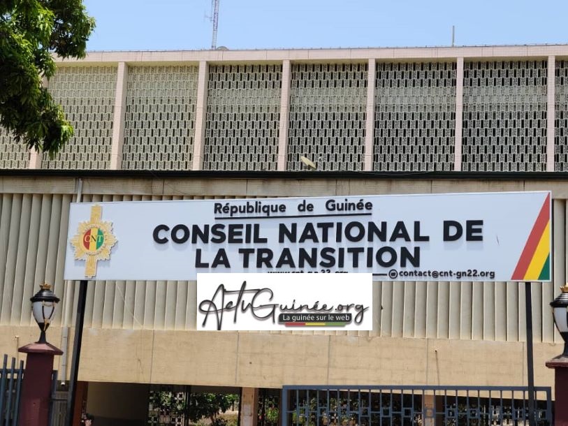 Guinée / L’Énième Constitution : Simple Chiffon de Papier Sans Volonté (Ousmane Boh KABA)