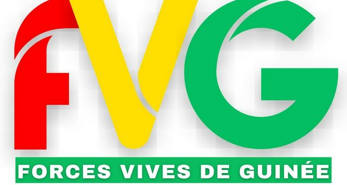 Grève générale et illimitée : les Forces vives de Guinée lancent un appel « pressante » à leurs militants…